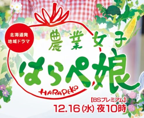 Nôgyô Joshi Harapeko - Posters