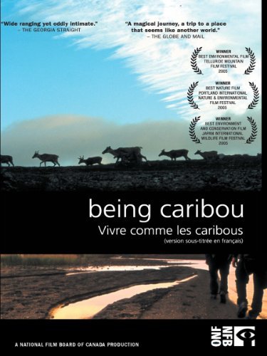 Being Caribou - Carteles