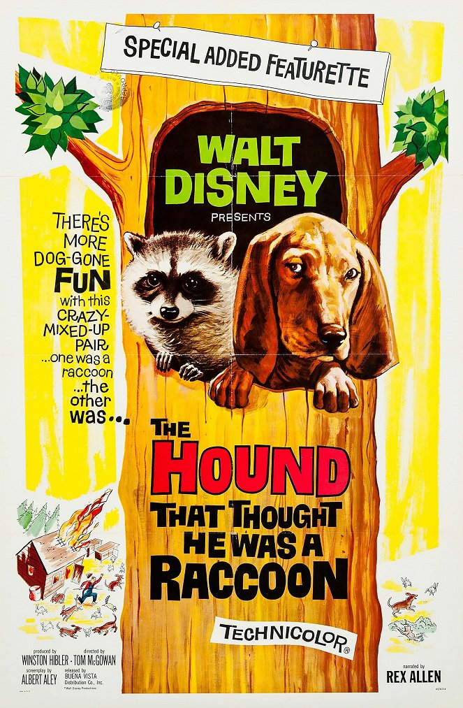 The Hound That Thought He Was a Raccoon - Plakaty