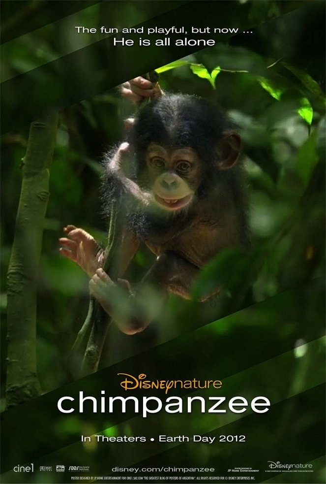 Chimpancés - Carteles