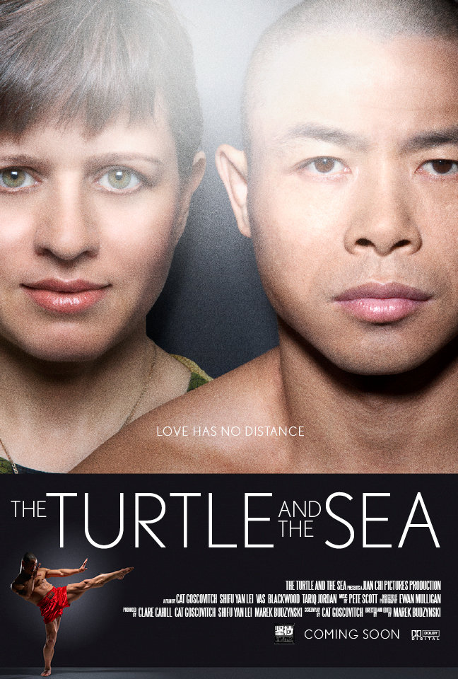 The Turtle and the Sea - Carteles