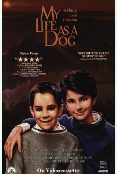 My Life As a Dog - Posters