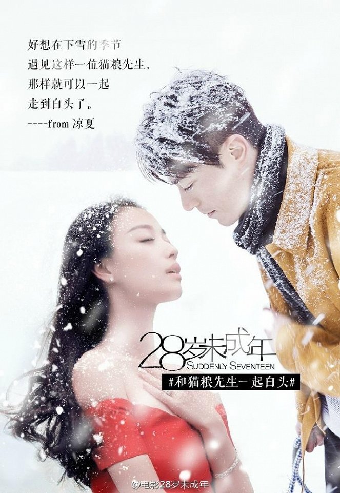 Suddenly Seventeen - Carteles