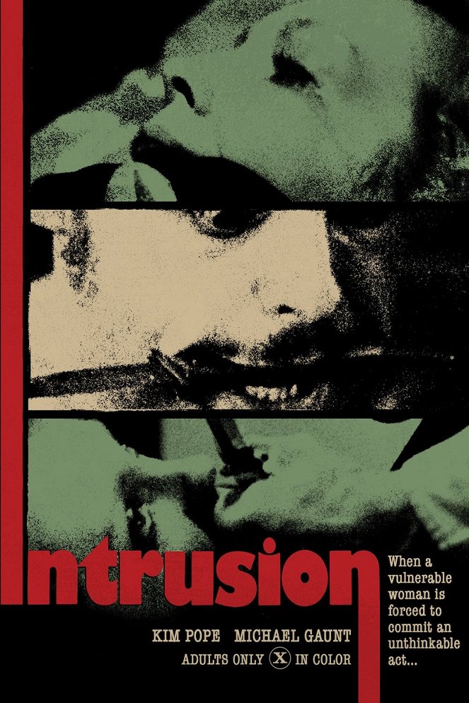 The Intrusion - Plakátok