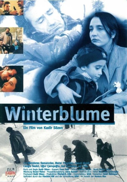 Winterblume - Plakate