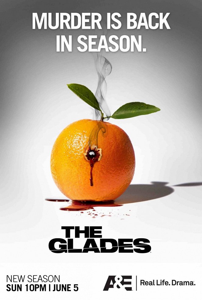 The Glades - Posters