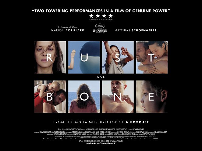 Rust and Bone - Posters