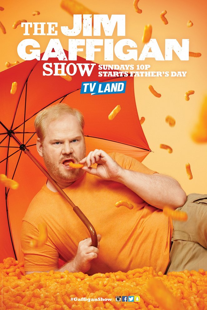 The Jim Gaffigan Show - Posters