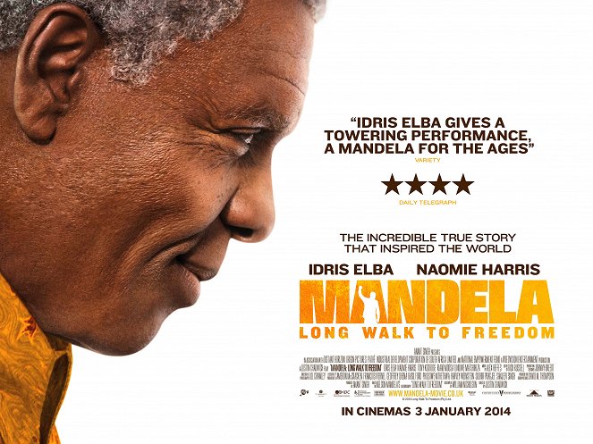 Mandela: Del mito al hombre - Carteles