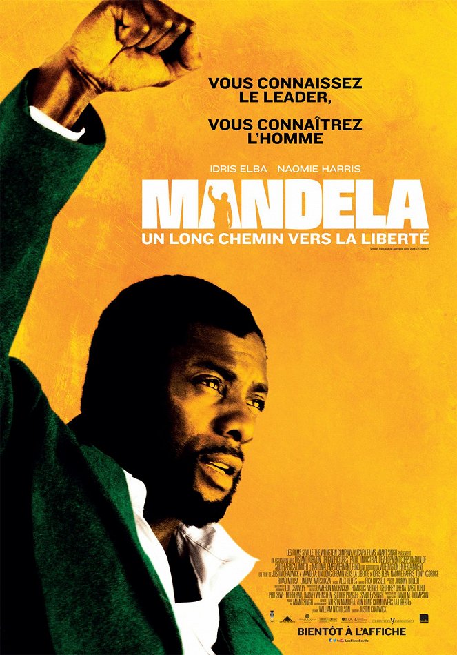 Mandela: Long Walk to Freedom - Posters