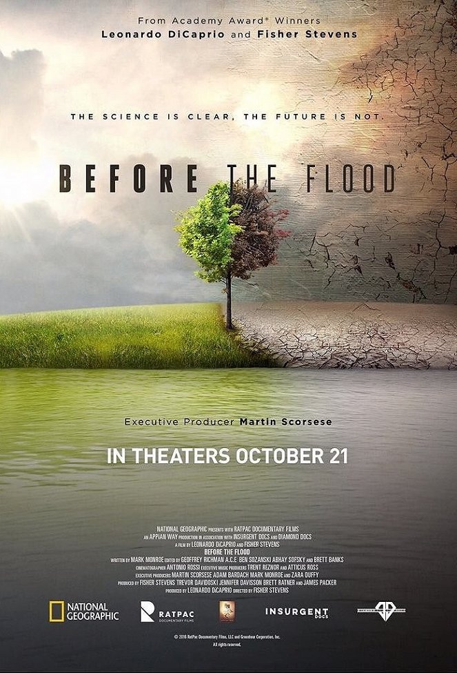 Before the Flood - Carteles