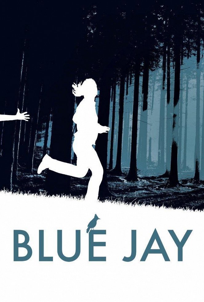 Blue Jay - Plakate