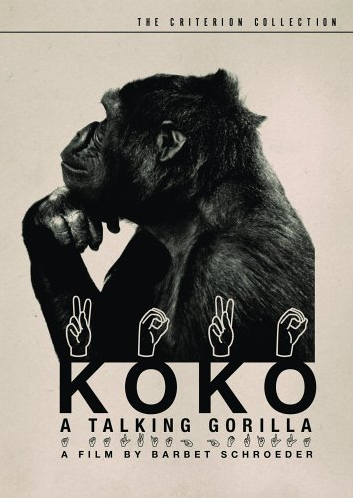 Koko, a Talking Gorilla - Posters