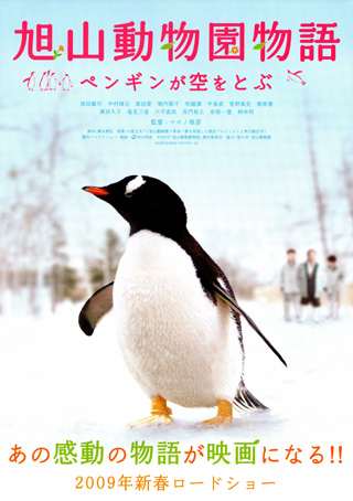 Penguins in the Sky - Posters