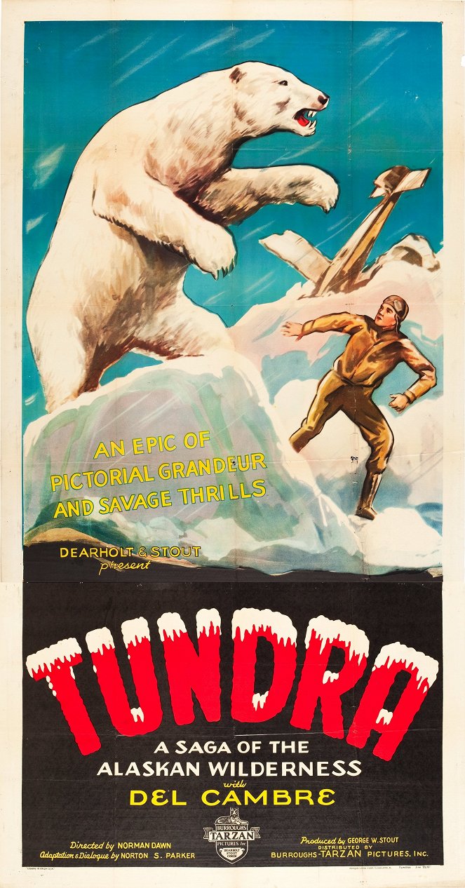 Tundra - Plakaty