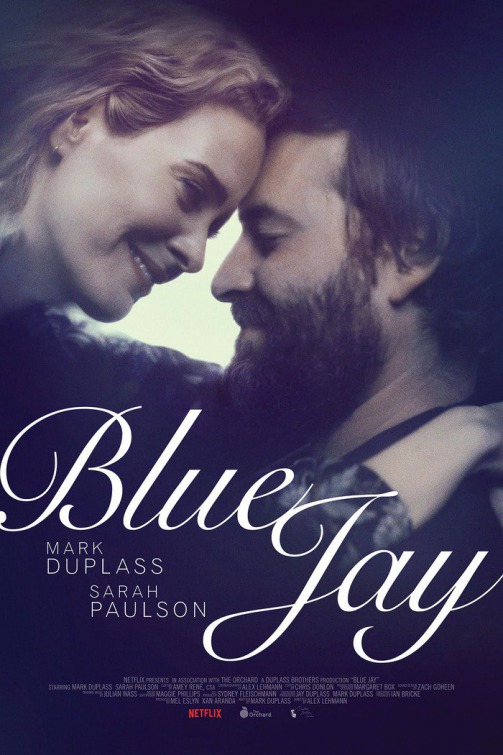 Blue Jay - Posters