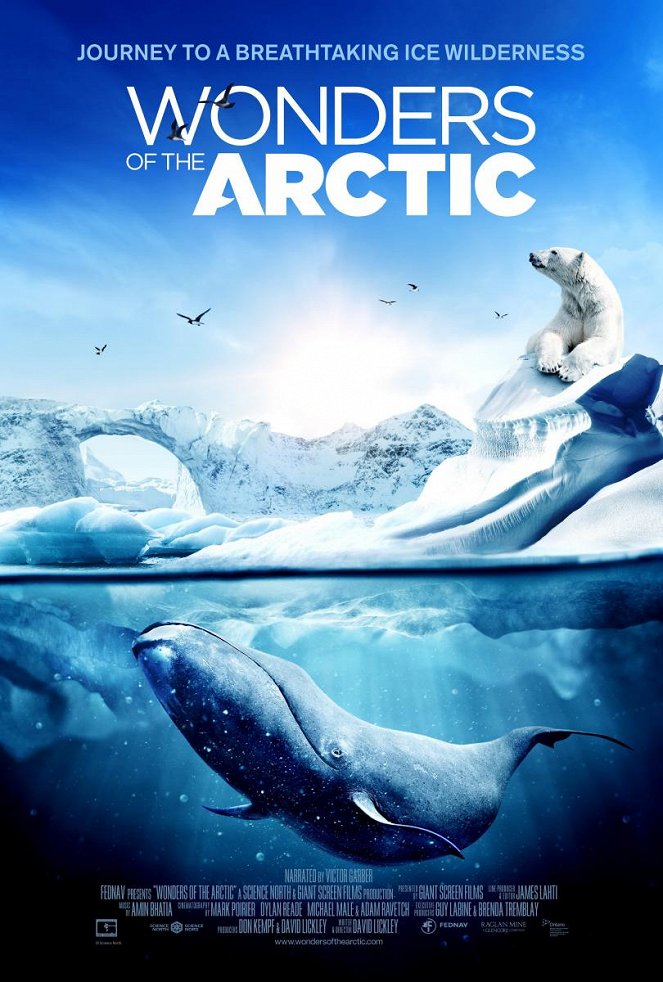 Wonders of the Arctic 3D - Plakate