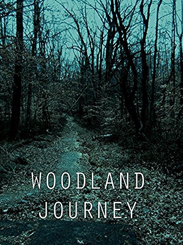 Woodland Journey - Affiches