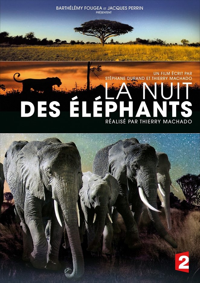 La Nuit des éléphants - Plakate