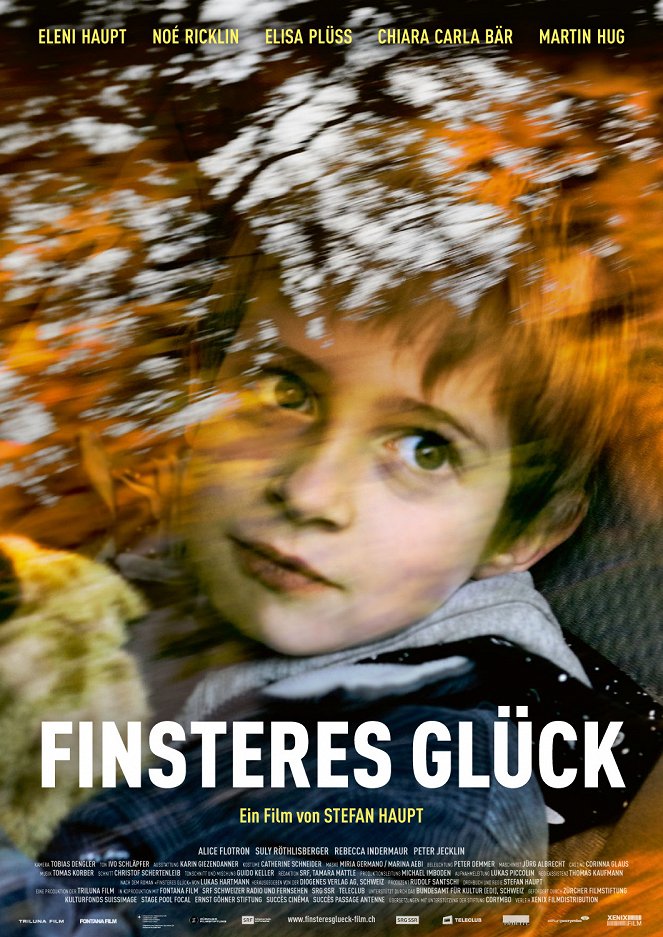 Finsteres Glück - Plakáty