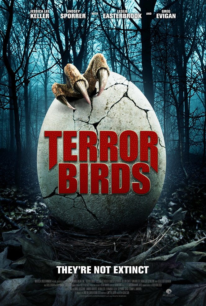 Ptačí teror - Plakáty