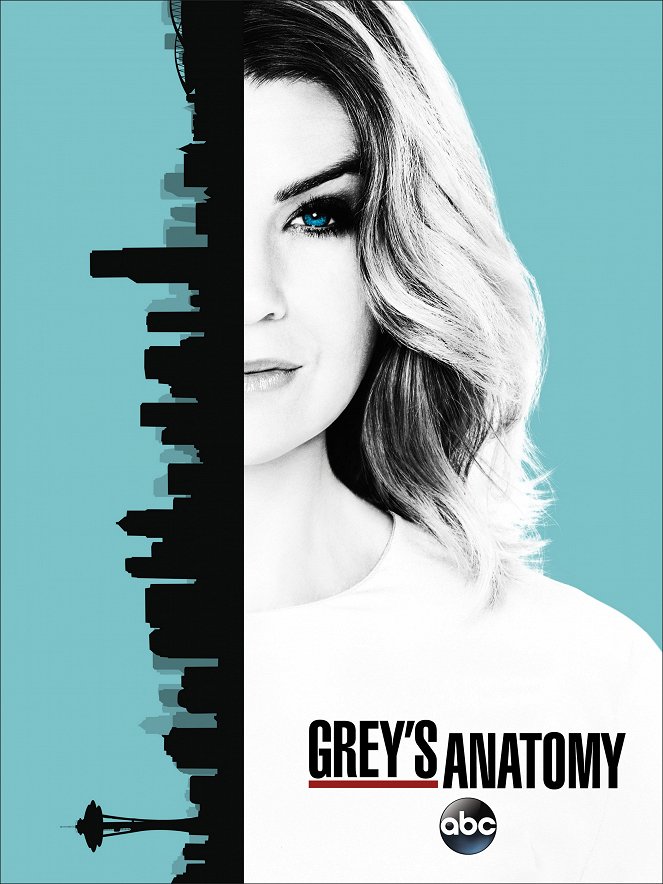 Grey's Anatomy - Grey's Anatomy - Season 13 - Affiches