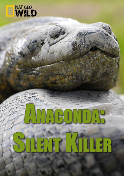 Anaconda: Silent Killer - Posters
