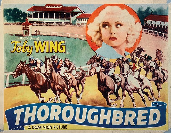 Thoroughbred - Posters