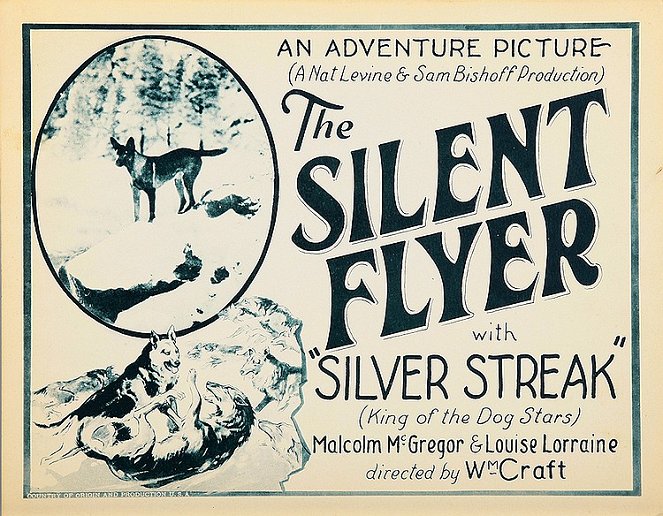 The Silent Flyer - Posters