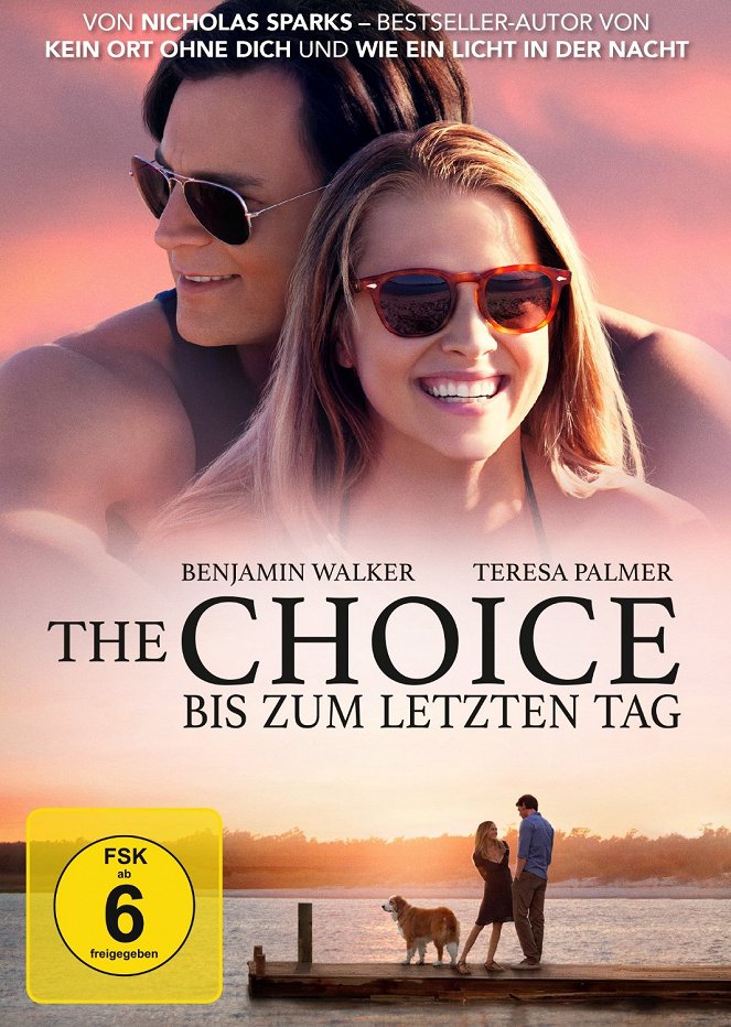 The Choice – Bis zum letzten Tag - Plakate