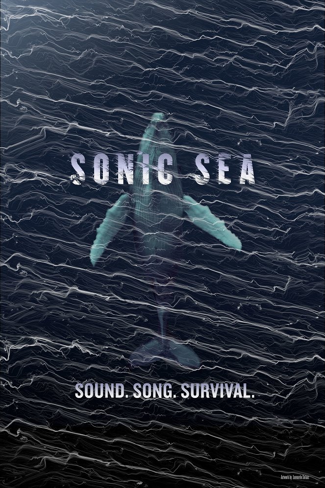 Zvuky moře - Plagáty