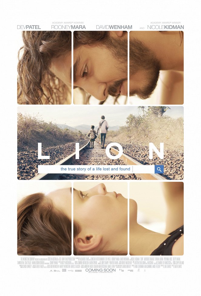 Lion - Posters
