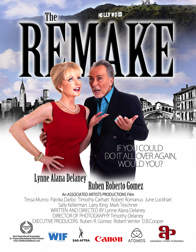 The Remake - Plakátok