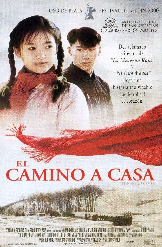 El camino a casa - Carteles