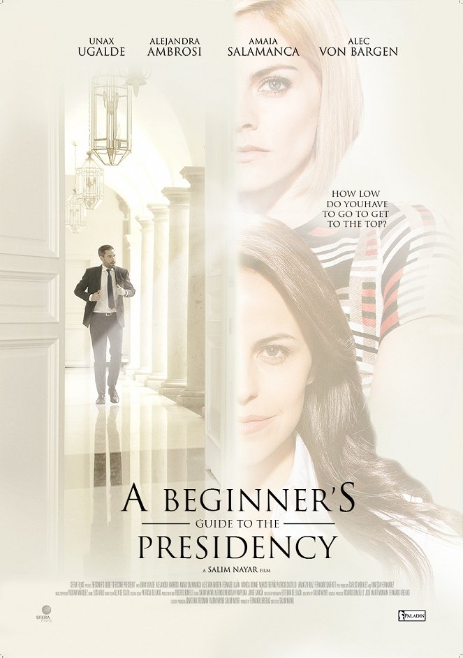 A Beginner's guide to the Presidency - Posters