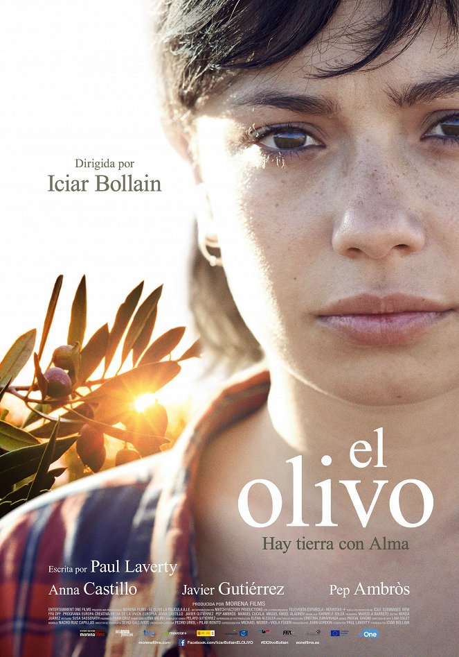 El Olivo - Der Olivenbaum - Plakate