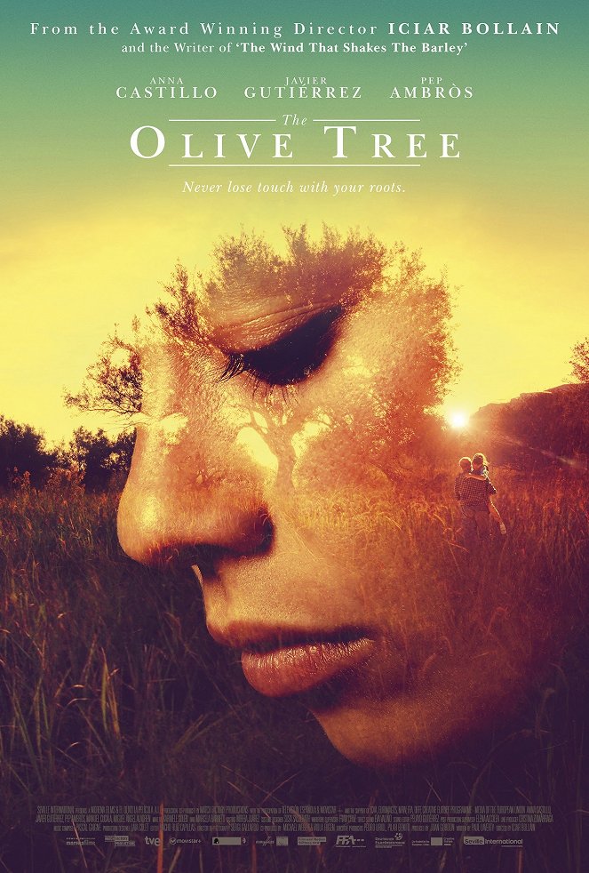 The Olive Tree - Posters