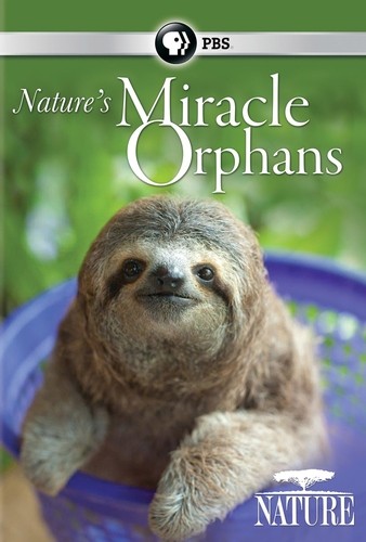 Nature's Miracle Orphans - Plakaty