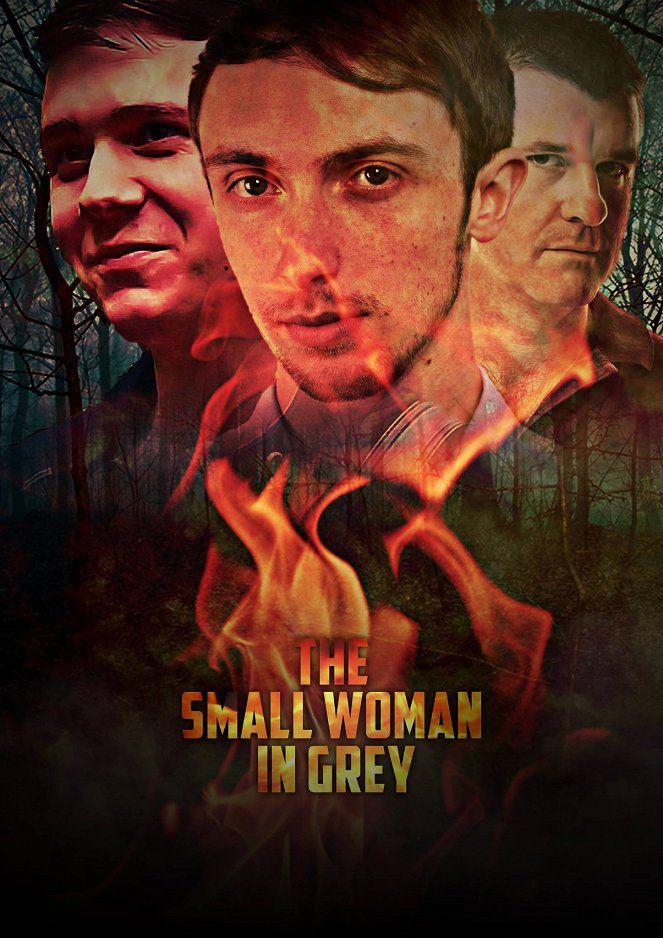 The Small Woman in Grey - Affiches
