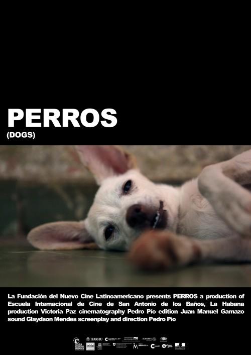 Perros - Plakaty