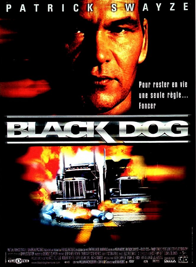 Black Dog - Plakate