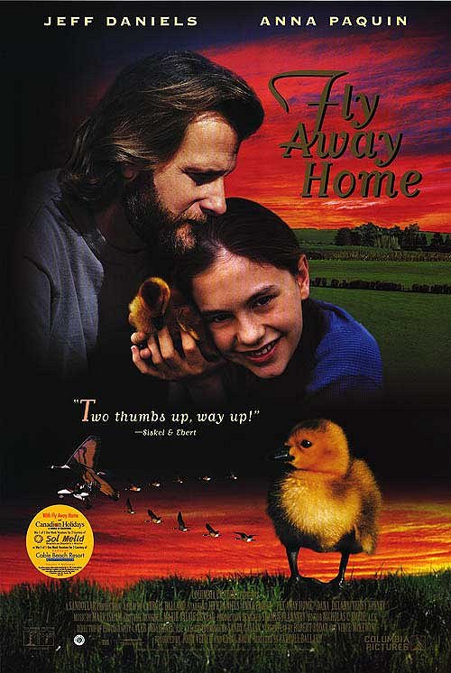 Fly Away Home - Posters