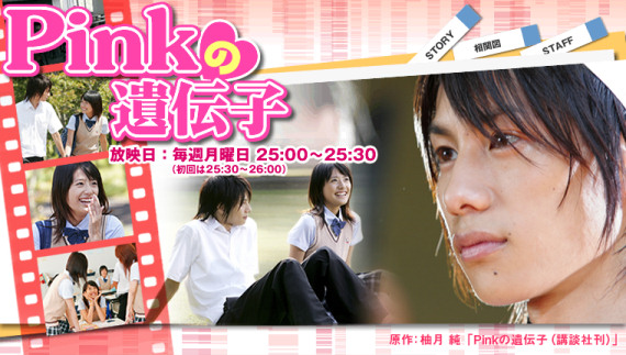 Pink no idenshi - Affiches