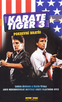 Karate tiger 3: Pokrevní bratři - Plakáty