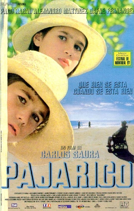 Pajarico - Posters