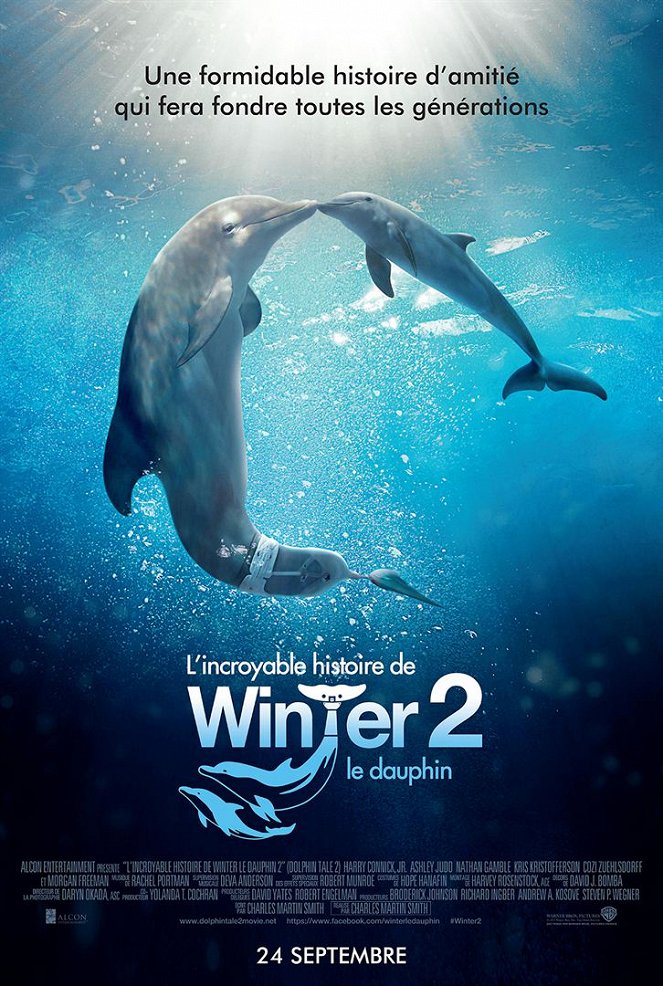 L'Incroyable Histoire de Winter le Dauphin 2 - Affiches