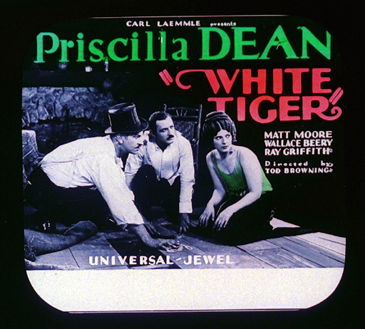 White Tiger - Plakate