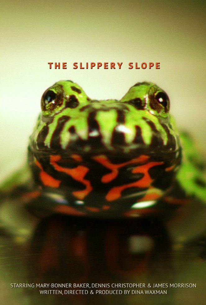 The Slippery Slope - Affiches