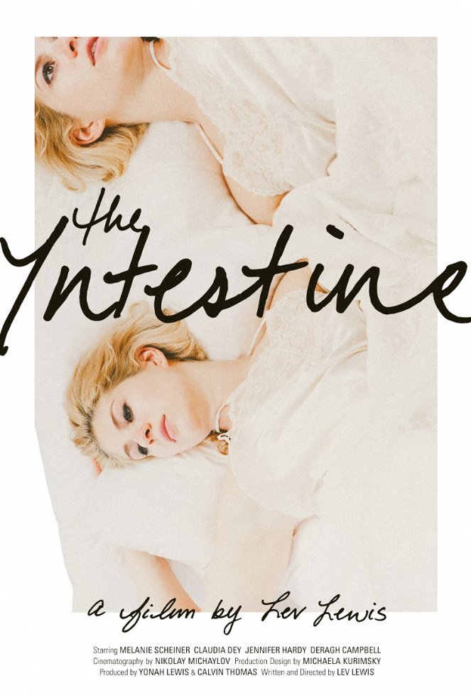 The Intestine - Plakate