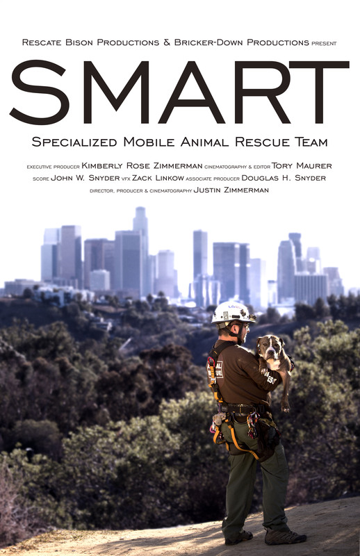 SMART - Affiches